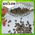 mytext Good taste black watermelon seeds kernels for sale